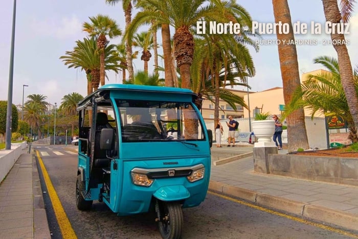 Norte de “Puerto de la Cruz e Jardines” de tuk-tuk (2 horas)