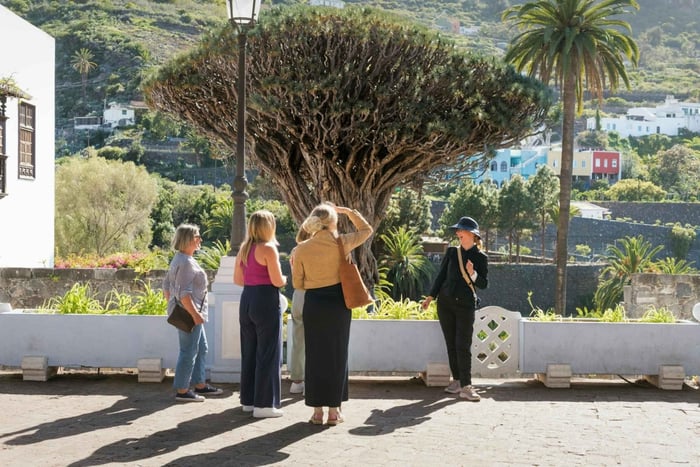 Northwest Tenerife: Villages visit, Lunch, and Tasting Tour