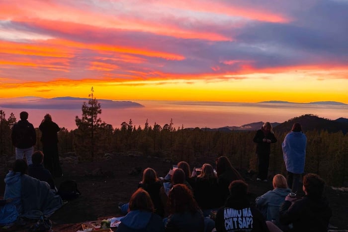 Ténérife : coucher de soleil premium sur le Teide et forêt vieille de 800 ans