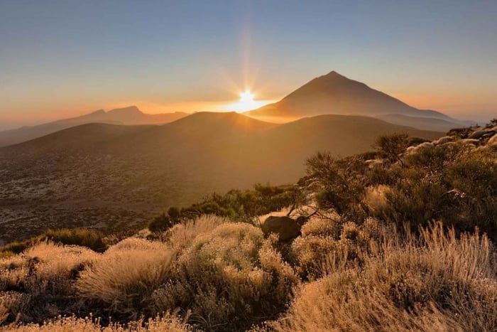 Private Cruise Excursion to Secret Teide and La Orotava