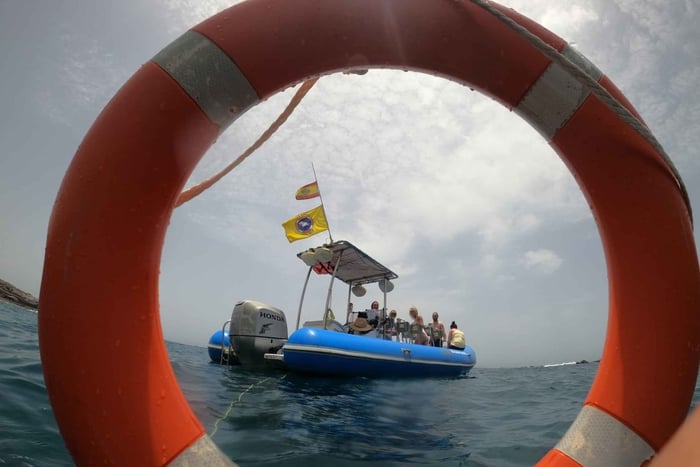 Puerto Colon: Dolphin and Whale Watching Speedboat Tour