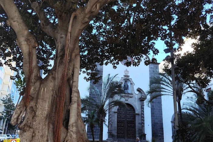 Santa Cruz de Tenerife: A Prestige Places Crawl