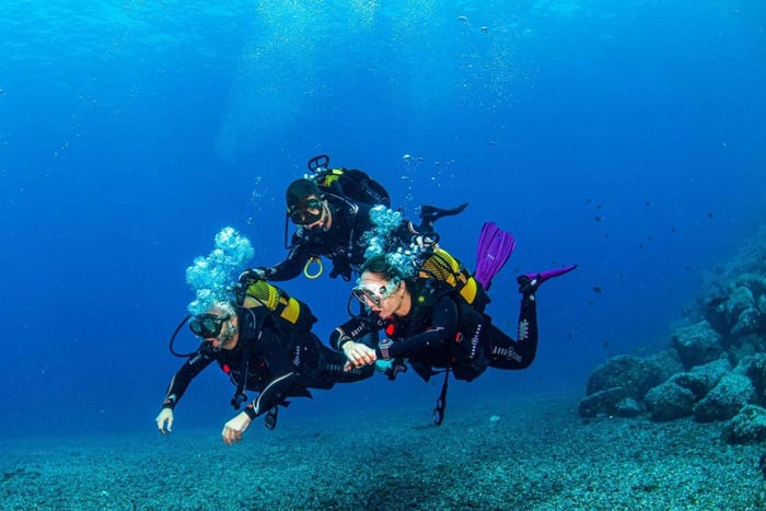 Santa Cruz de Tenerife: Advanced introductory course