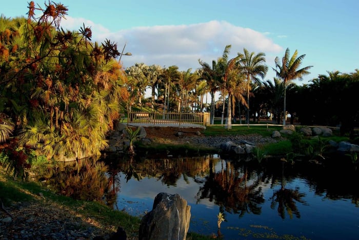 Santa Cruz de Tenerife Palmetum Entry Ticket