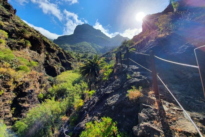 Senderismo guiado Barranco de Masca + barco a Los Gigantes