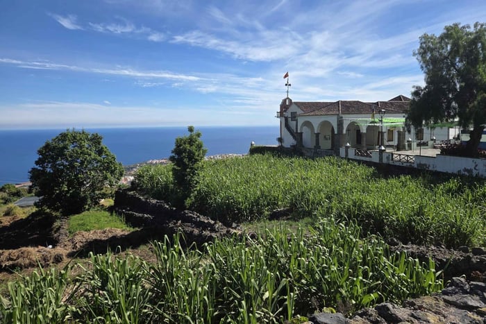 Sightseeing Tour of Garachico and Icod and Historic Rum Tasting
