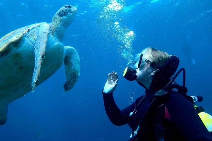lezione di nuoto e sessione di immersioni subacquee per principianti