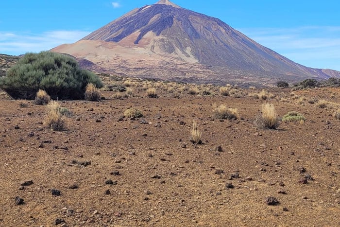 Ruta por el volcán El Cerrillar en el Parque Nacional del Teide (grupo pequeño, máx. 10 personas)