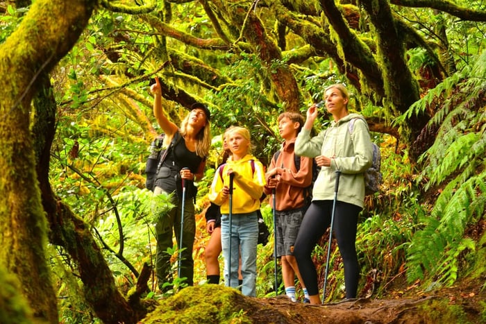 Tenerife: Anaga Hiking Tour & Enchanted Forest with Pickup