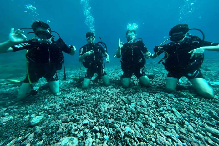 Tenerife : Diving License in one day