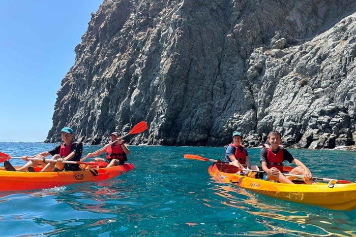 Tenerife: Kayak with Dolphins and Snorkel with Turtles