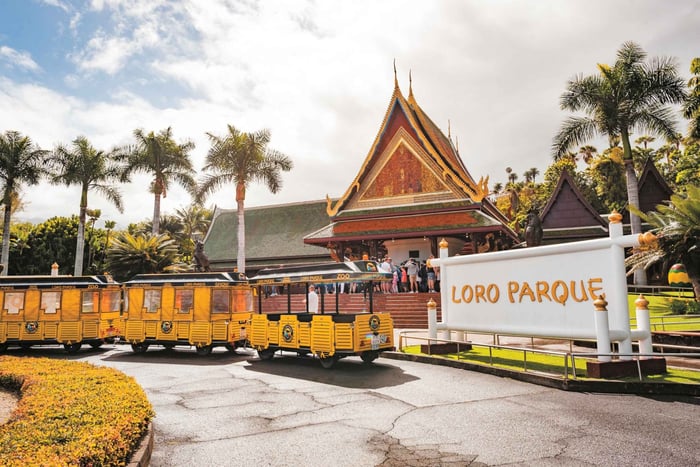 Tenerife: Loro Parque & Siam Park Entry Ticket with Transfer