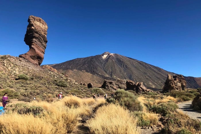 Tenerife: Mount Teide, Masca, Icod and Garachico Day Trip