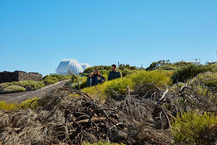 Tenerife: Mount Teide Observatory Guided Tour