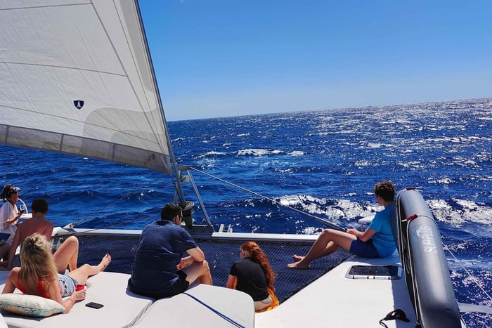 Tenerife: PRIVATE Catamaran cruise with Lunch and Drinks