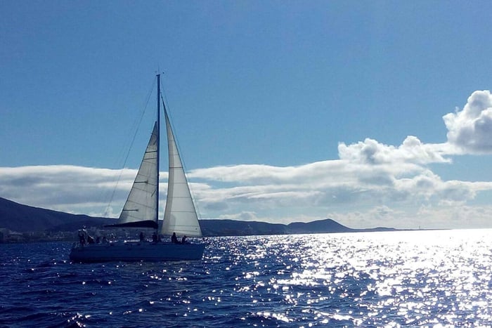 Tenerife: Private or Group 3 Hour Sailing Cruise with Drinks