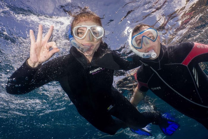 Tenerife: Snorkeling to look for Turtles and Rays