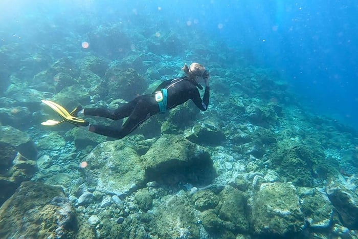 Tenerife : Snorkeling underwater with freediving Instructor