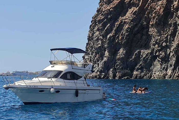 Tenerife south: safari with luxury boat , animals encounters