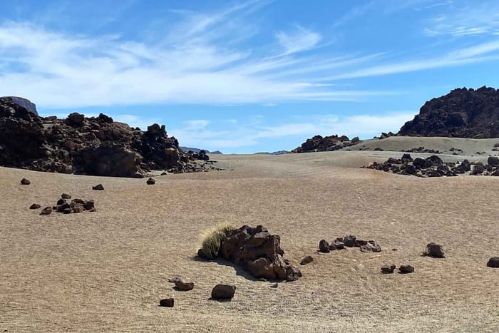Tenerife/Teide: private light hiking experience with a local guide