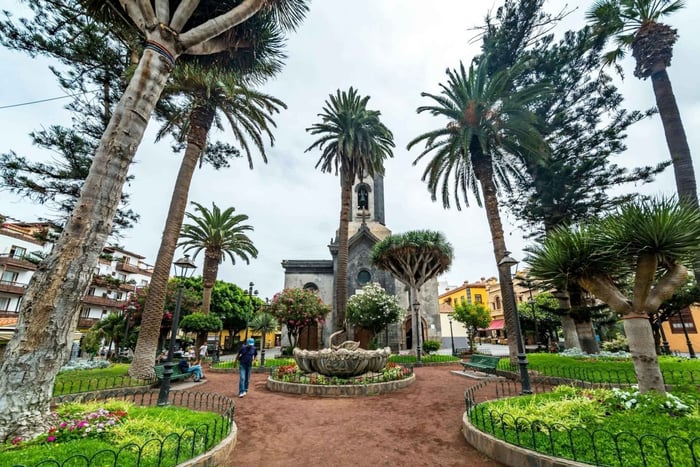 Tenerife Tour with Teide National Park and lunch