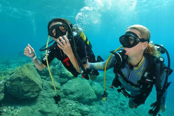 Try diving for the first time in turtle area