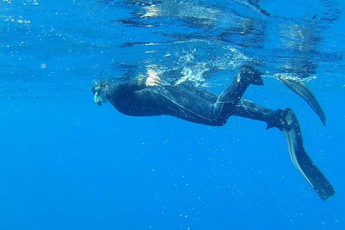 Unforgettable snorkeling tours with turtles
