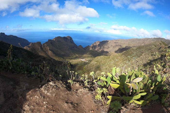 Volcanes, Viñedos y Laurisilva – Santiago del Teide