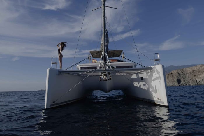 Whale and Dolphin Watching Catamaran Cruise