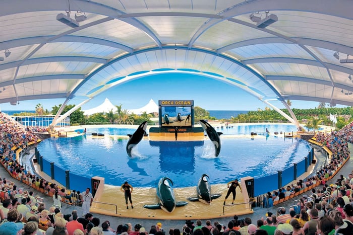 Loro Parque & Siam Park Combined Tickets