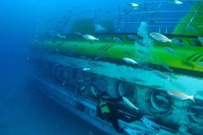  South Island Underwater Tour by Submarine