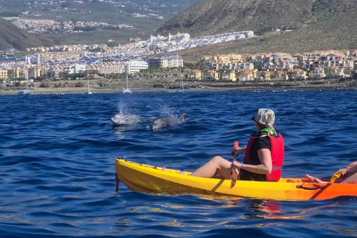 Tenerife: Kayak Safari and Sea Turtle Snorkeling