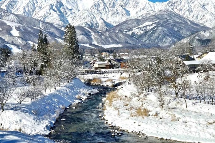 7-dagars privat vintertur med snöapor, Alperna och Hakuba