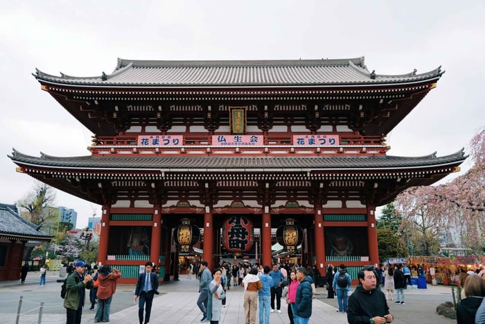 Tokio: Asakusa-Tour mit Sensoji-Tempel, Skytree & Snacks
