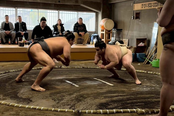 Authentic Sumo Morning Practice