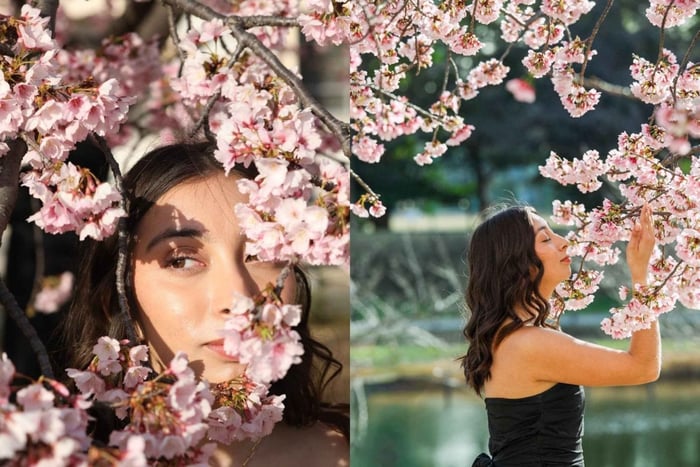 Cherry Blossom Photo Experience (Limited)