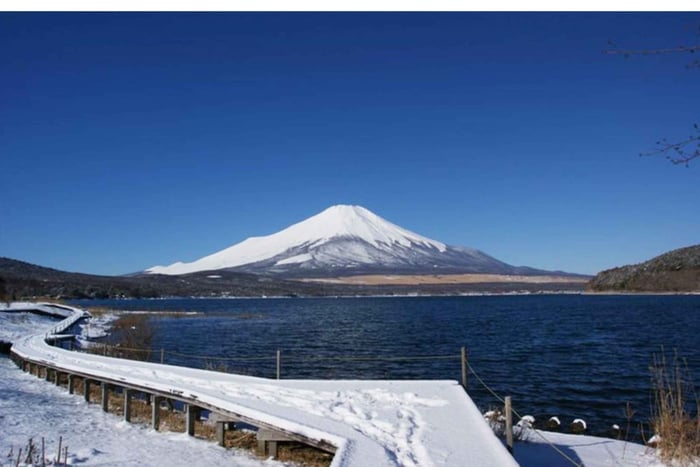 Crowd-Free Hidden Local Spots – Mt. Fuji Private Car Tour