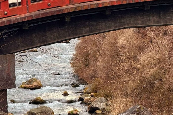 Discover Nikko Full Day Private Tour from Tokyo