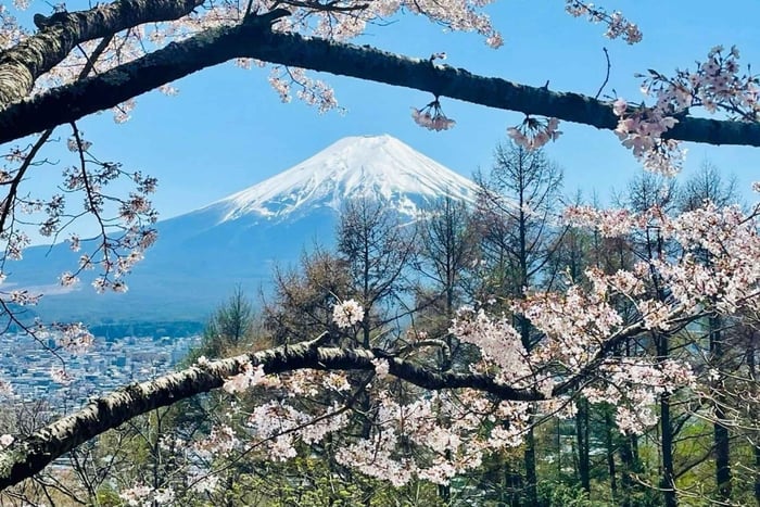 Eksklusiv tur til Fujibjerget og Hakone med smukke søer.