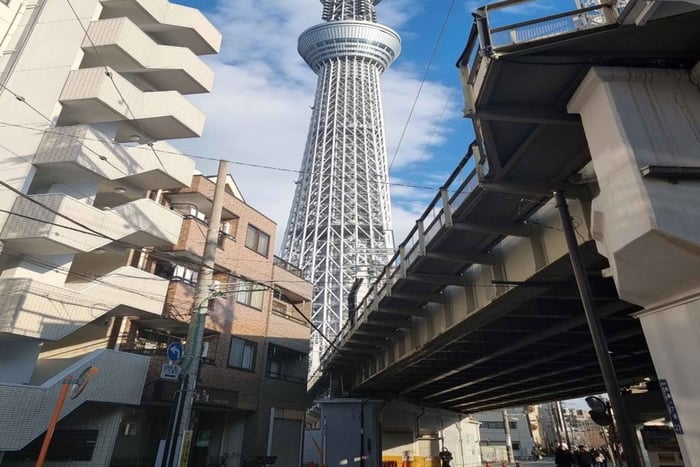From Shizuoka: Tokyo Private Full-Day Tour with Driver