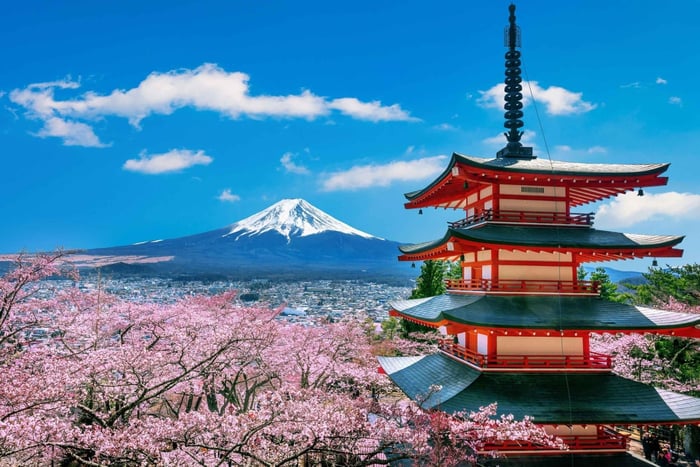 From Tokyo: Mount Fuji Full Day Private Customizable Tour