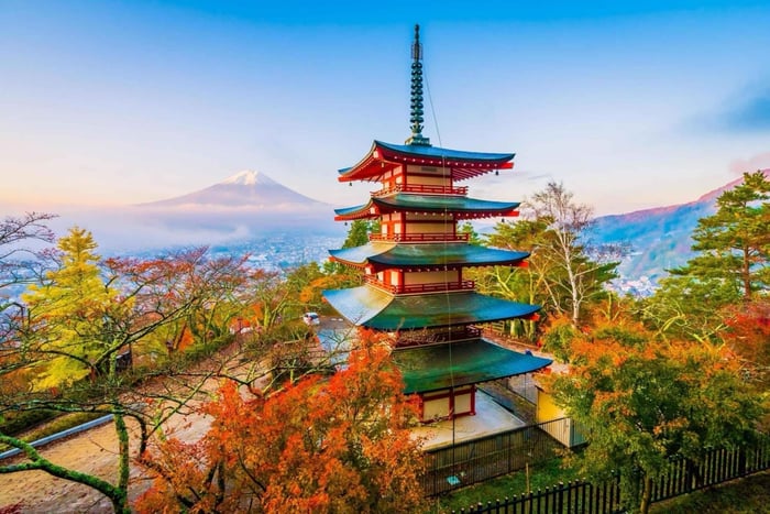 From Tokyo: Mount Fuji Full Day Private Tour