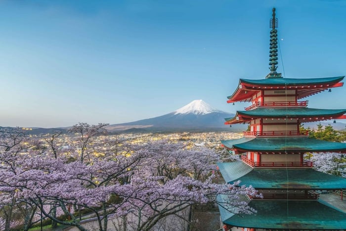 From Tokyo: Mount Fuji Full-Day Sightseeing Trip, Arakura, Tokyo