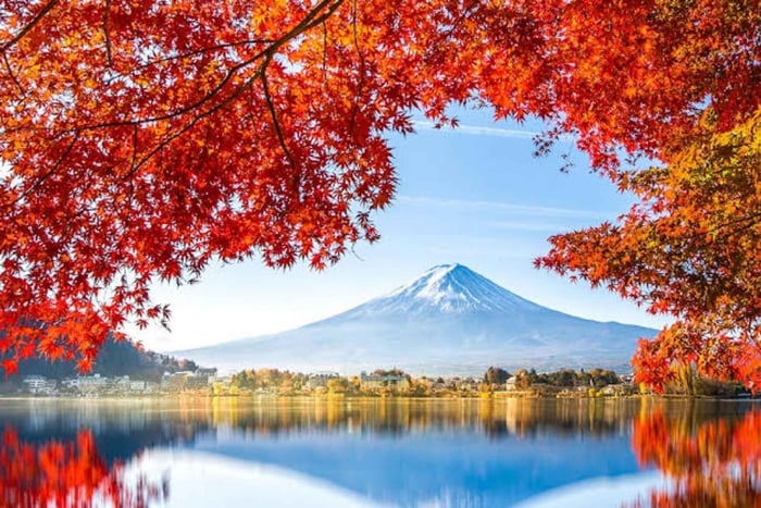 From Tokyo - Mount Fuji & Hakone Customize Private Day Tour