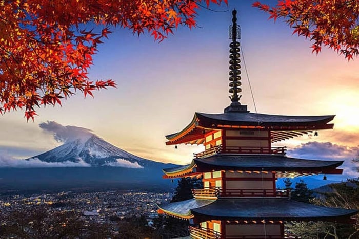 From Tokyo - Mt. Fuji & Hakone Private Scenic Day Tour