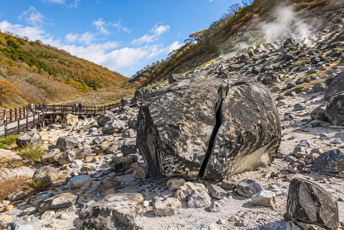 Z Tokio: Nasu Animal Kingdom i onsen – elastyczny plan wycieczki