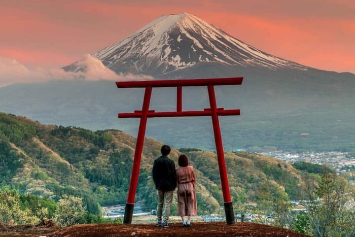 From Tokyo Private Tour Mount Fuji Fully Customize Itinerary