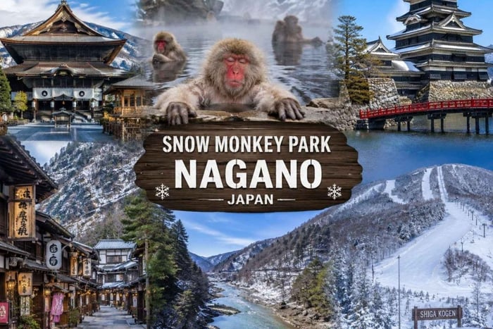 Desde Tokio: tour privado personalizable por el parque de los macacos con guía