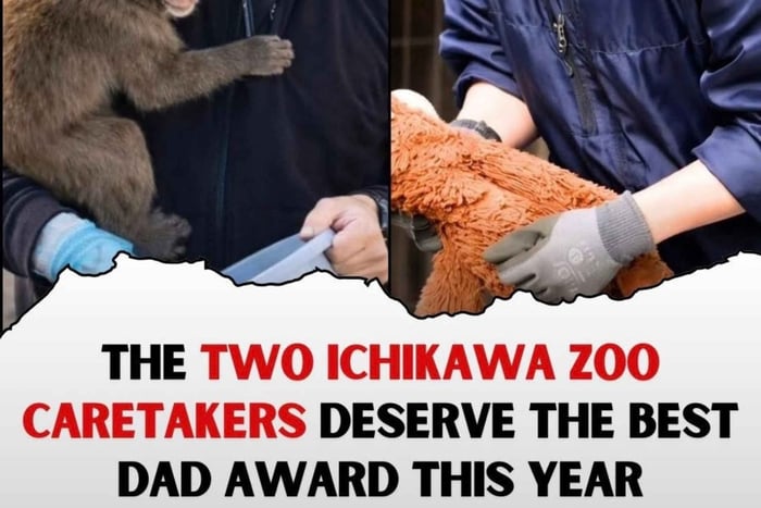 Ichikawa City Zoo Tour with Red Pandas & Punch-kun