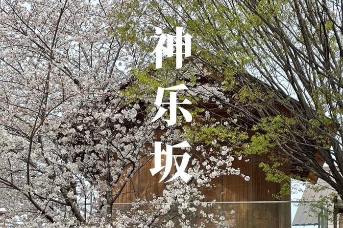 Kagurazaka: Hidden Geisha District & Traditional Tokyo
